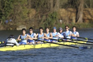 Reading HoRR 2012